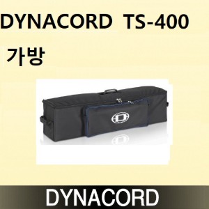 DYNACORD TS400 가방